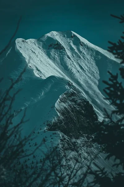 Вертикальный Снимок Заснеженного Горного Хребта Вершины Обрамленной Альпийскими Ветвями — стоковое фото