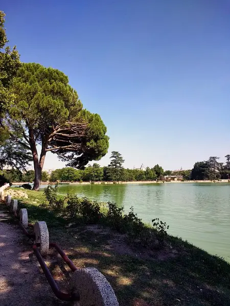 Lago España Rodeado Árboles Plantas Bajo Cielo Azul Claro — Foto de Stock