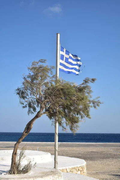 美丽的希腊国旗和海滩上的一棵树，背景是大海 — 图库照片