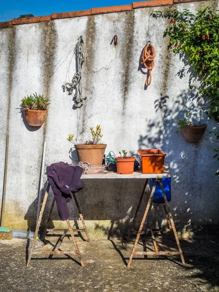 Una Toma Vertical Muchas Plantas Macetas Una Mesa Vieja Durante — Foto de Stock