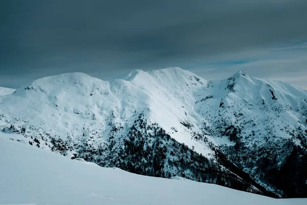 Plano Panorámico Picos Montañosos Cubiertos Nieve Con Árboles Alpinos — Foto de Stock