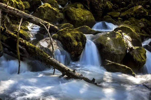 Nízký úhel záběru hypnotizujícího vodopádu uprostřed lesa — Stock fotografie