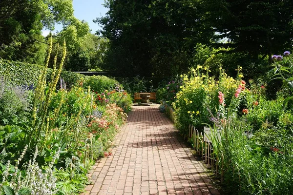 Una Splendida Vista Sentiero Parco Circondato Piante Fiori Una Giornata — Foto Stock