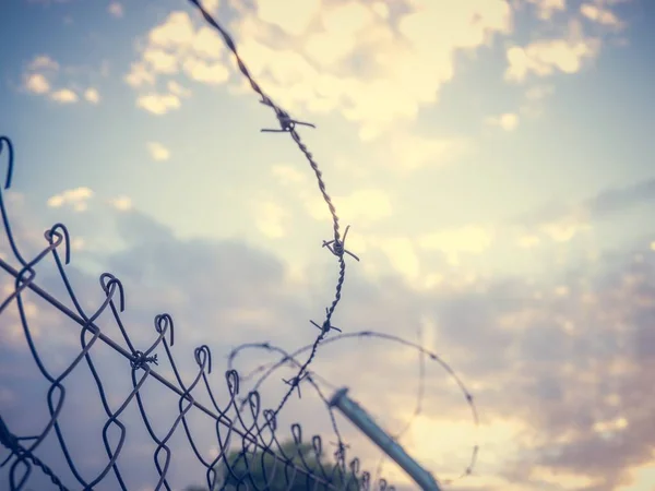 Low angle shot of barbed wire under a cloudy sky — Stock Photo, Image