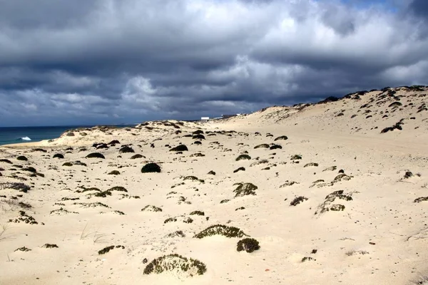 Písečná Pláž Před Tmavomodrým Oceánem Několika Vegetacemi Pod Ponurým Nebem — Stock fotografie