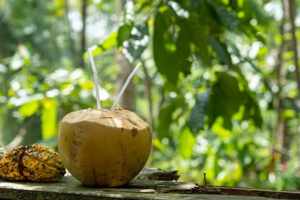 Una Toma Selectiva Agua Coco Con Fondo Borroso —  Fotos de Stock