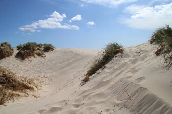 Песчаные Холмы Ярко Голубым Небом Рабьерг Майл Дания — стоковое фото