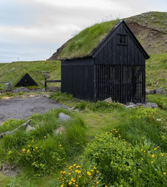 Typická Islandská Rybářská Vesnice Travnatými Střechami Regály Sušení Ryb — Stock fotografie