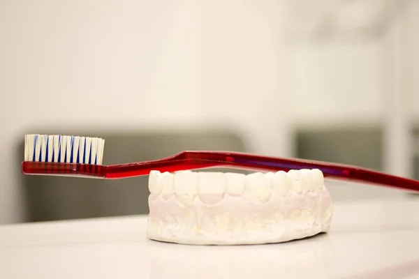 Cepillo Dientes Rojo Sobre Una Prótesis Dental Bajo Las Luces —  Fotos de Stock