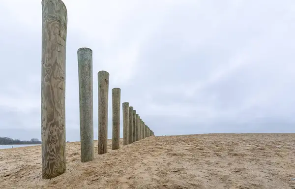 Tiro Ângulo Baixo Postes Quebra Mar Madeira Uma Areia Praia — Fotografia de Stock