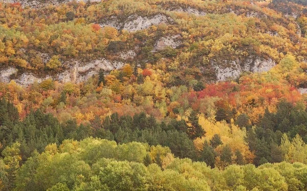 Fascynujący Widok Kolorowych Drzew Skalistej Górze Jesienią Hiszpanii — Zdjęcie stockowe