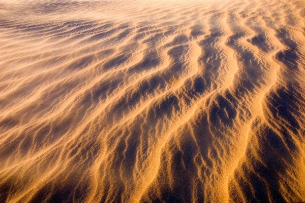 Beautiful Shot Golden Desert Sand Ripple Patterns Desert — 스톡 사진