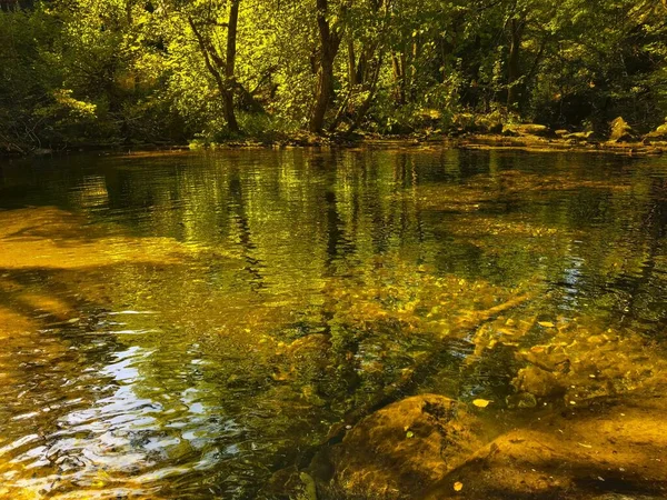 Wysokie Ujęcie Kąta Jeziora Lesie Odbiciami Drzew Wodzie — Zdjęcie stockowe