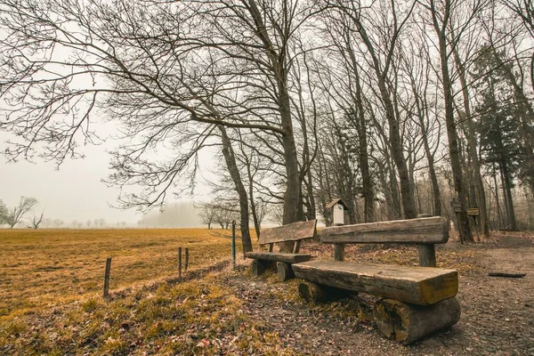 在森林公园里一张漂亮的木制长椅的照片 后面是一片漆黑的天空 — 图库照片