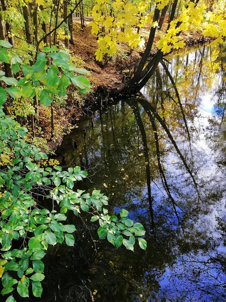 Een Bovenste Uitzicht Opname Van Een Rivier Met Kleurrijke Bomen — Stockfoto