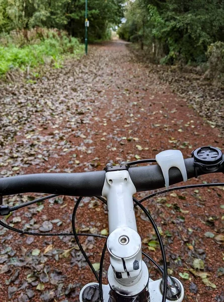 Μια Κάθετη Βολή Ενός Ποδηλάτου Στο Χωματόδρομο Πεσμένα Φύλλα Ένα — Φωτογραφία Αρχείου