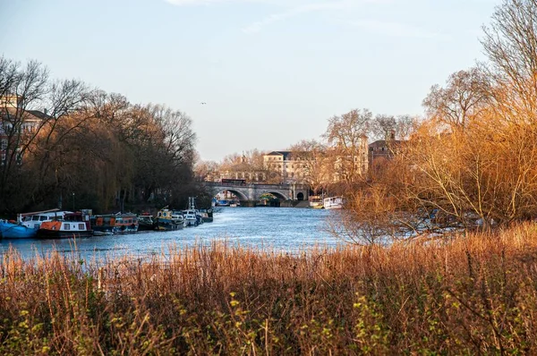 Reed Bed Foreground Looking Old Bridge — ストック写真