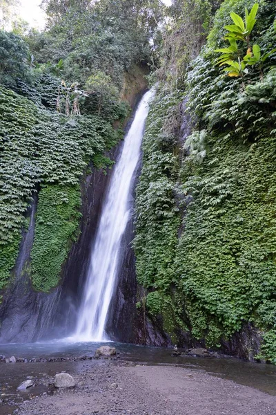 Colpo Verticale Belle Cascate Aria Terjun Munduk Gobleg Indonesia — Foto Stock