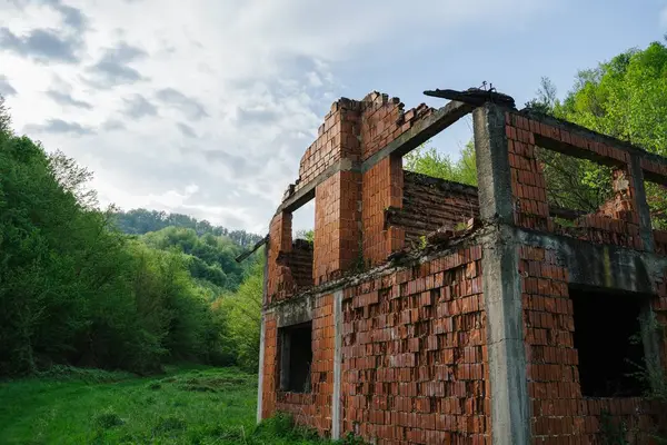 森の中の古いレンガ造りの建物の低角度ショット — ストック写真