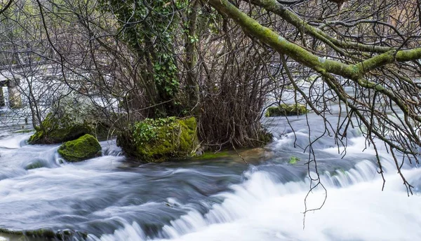 Bir Ağacın Yosunlu Dallarının Altındaki Köpüklü Nehrin Yüksek Açılı Yakın — Stok fotoğraf