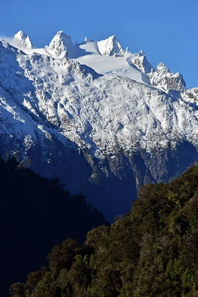 一座雪山和一片森林的垂直拍摄 — 图库照片