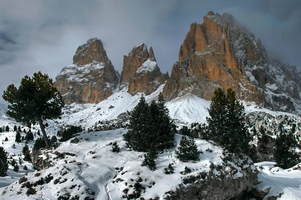 Uma Bela Montanha Tiro Árvores Sella Pass Plan Itália — Fotografia de Stock