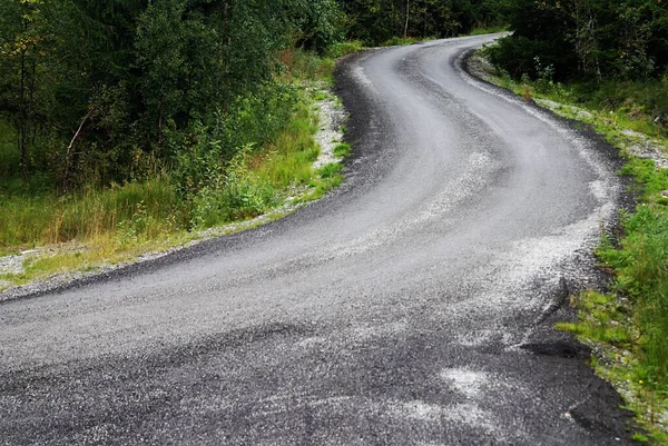 Uma Estrada Curvilínea Cercada Por Belas Árvores Verdes Noruega — Fotografia de Stock