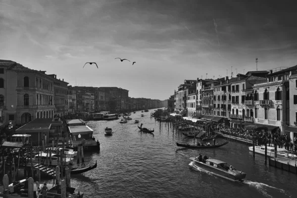 Venise Italie Février 2019 Vue Échelle Grise Grand Canal Venise — Photo