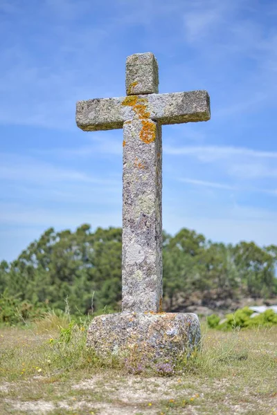 Vertical picture of a stone cross covered in mosses surrounded by greenery under the sunlight — Stock Photo, Image