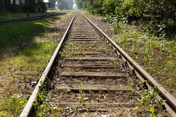 Prachtig shot van treinrails bedekt met gras overdag — Stockfoto