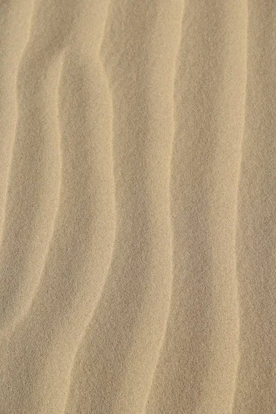 Vertical Closuep Shot Sand Texture Perfect Cool Vertical Background — 스톡 사진
