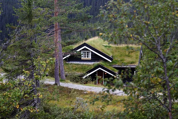 Ein Typisch Norwegisches Landhaus Mit Atemberaubender Landschaft Und Schönem Grün — Stockfoto