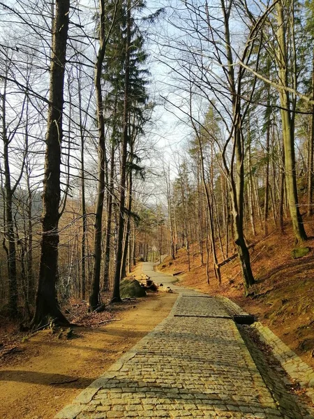 Colpo Verticale Una Passerella Pietra Sulle Colline Ricoperte Alberi Jelenia — Foto Stock