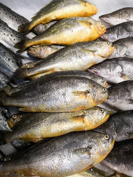 Pekin Çin Deki Bir Süpermarkette Satılan Taze Deniz Balıklarının Yüksek — Stok fotoğraf