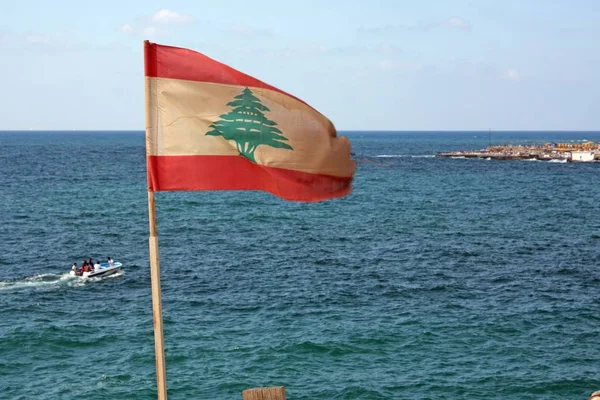 Широкоугольный снимок флага с деревом за океаном — стоковое фото