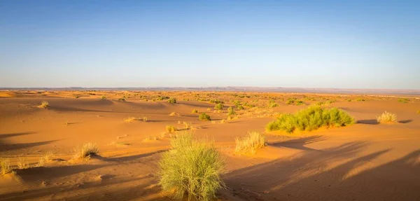 Panoramic shot of the Erg Chebbi dunes, the Sahara Desert, Morocco — Stock Photo, Image