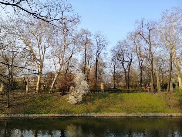Una Hermosa Foto Del Parque Lleno Árboles Desnudos Varsovia Polonia — Foto de Stock