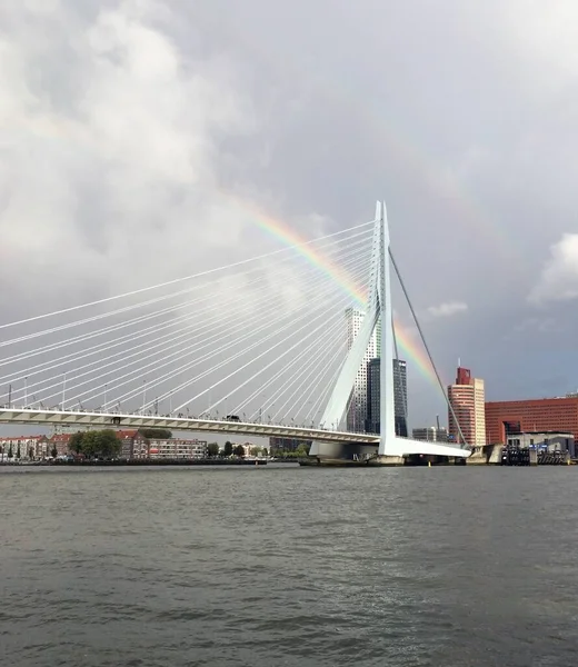 Arco-íris sobre o Wereldmuseum e outros edifícios na cidade de Roterdão, Países Baixos — Fotografia de Stock