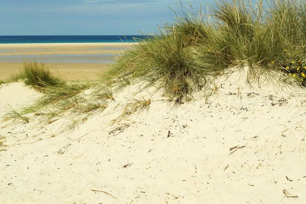 Bonito tiro de uma pequena colina de areia na praia de Tarifa, Espanha — Fotografia de Stock