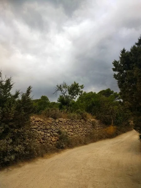 Colpo Verticale Una Strada Sabbiosa Vicino Muro Pietra Foresta Ibiza — Foto Stock