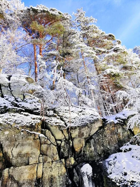 Image verticale de roches et d'arbres couverts de neige sous le soleil et un ciel bleu en Norvège — Photo