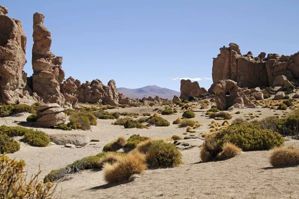 Felsen umgeben von Gras mit Hügeln im Sonnenlicht im Hintergrund in Bolivien — Stockfoto