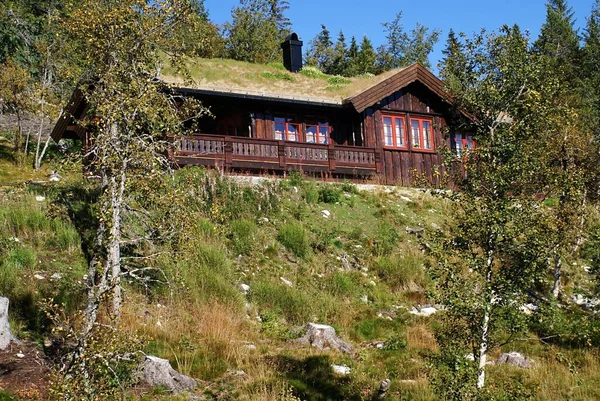 Typisch norwegisches Ferienhaus mit atemberaubender Landschaft und viel Grün in Norwegen — Stockfoto