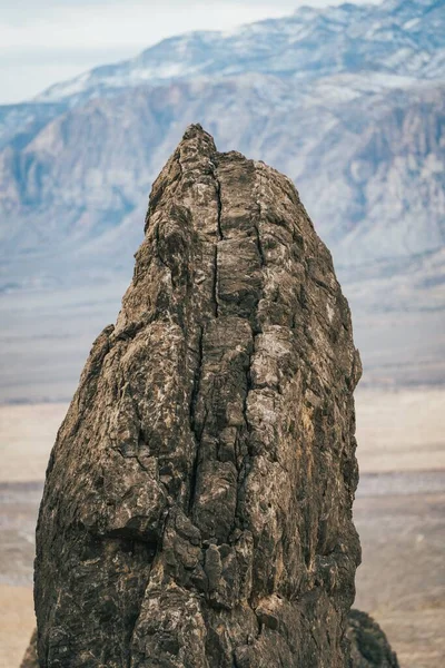 Arka Planı Bulanık Küçük Kahverengi Bir Kayanın Dikey Yakın Çekimi — Stok fotoğraf