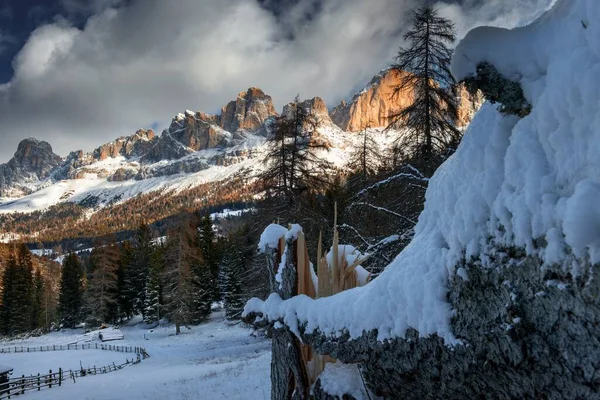 Splendido scenario di terra innevata con molti abeti e scogliere rocciose nelle Dolomiti — Foto Stock