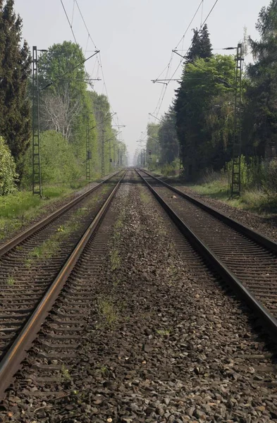 Pionowe ujęcie torów kolejowych w środku zielonych drzew — Zdjęcie stockowe