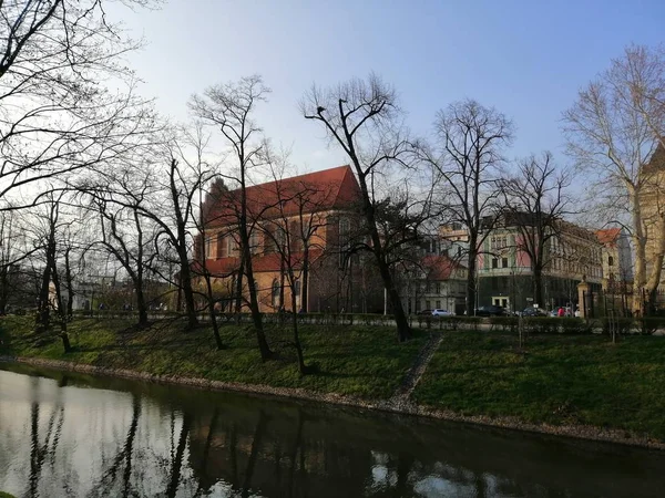 Eine Schöne Aufnahme Von Nackten Baumsilhouetten Und Einem Gebäude Park — Stockfoto