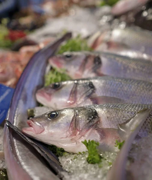 Een Close Shot Van Vissen Ijs Een Vismarkt Koop — Stockfoto