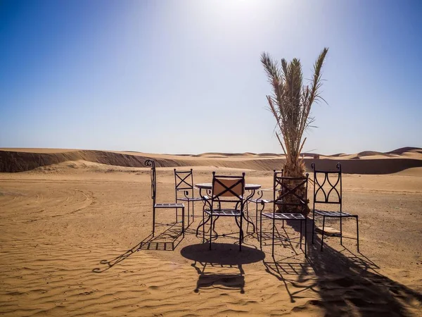 Ein Tisch Stühle Und Ein Kleiner Exotischer Baum Der Sahara — Stockfoto