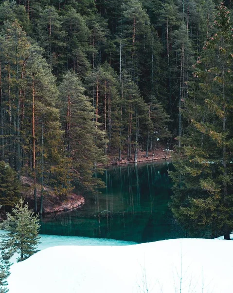 樹木が水面に映る森に囲まれた半氷結した湖の垂直写真 — ストック写真